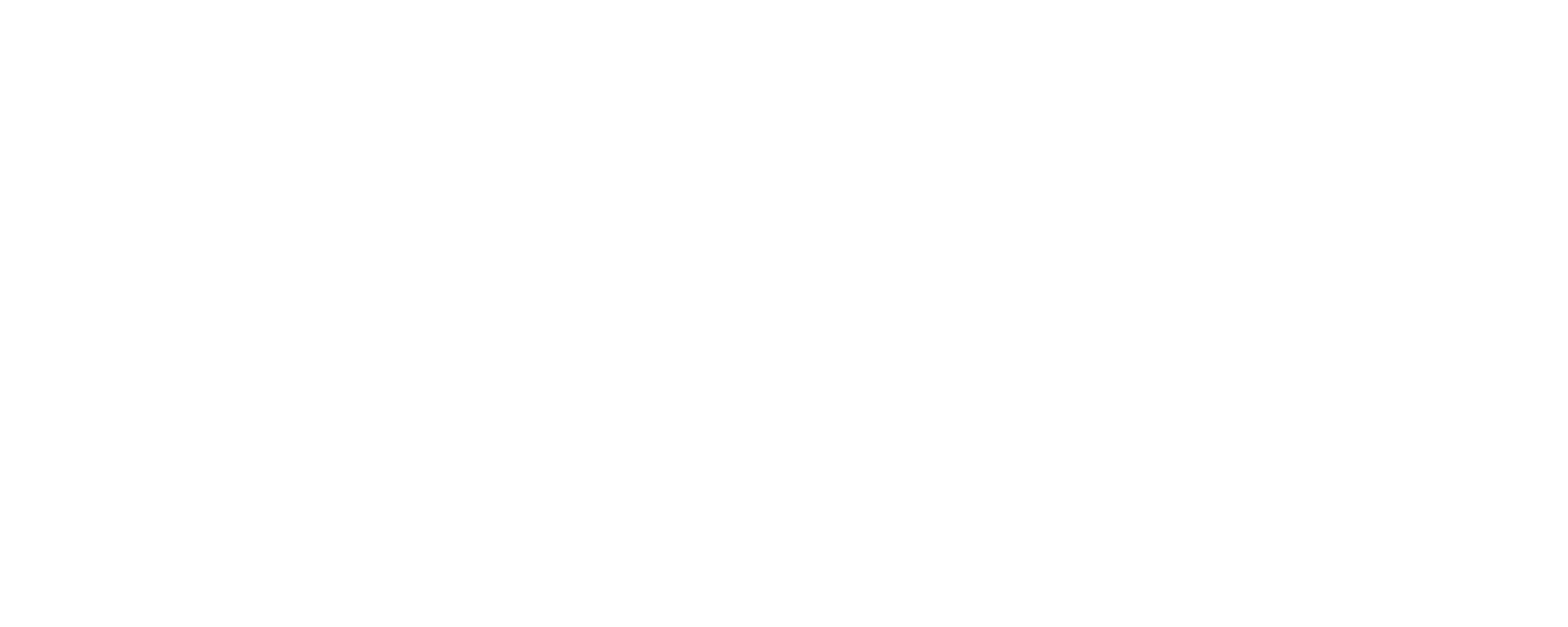 Nokya Logo